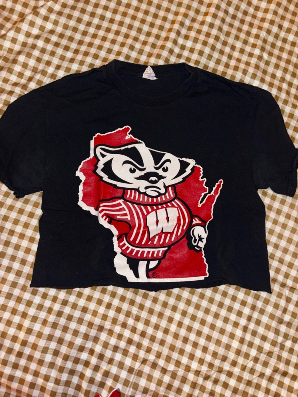 Black Wisconsin Badgers Bucky T-Shirt with Red & White Graphic